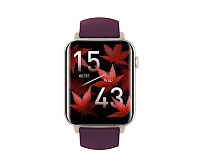 Image 20250405142803