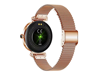 Image 20250407203528