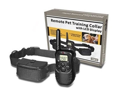 Image 20250418153818