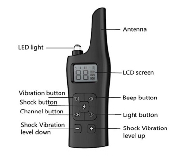 Image 20250418174557