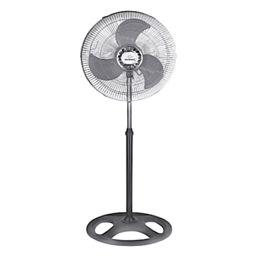 Image 20250718184520